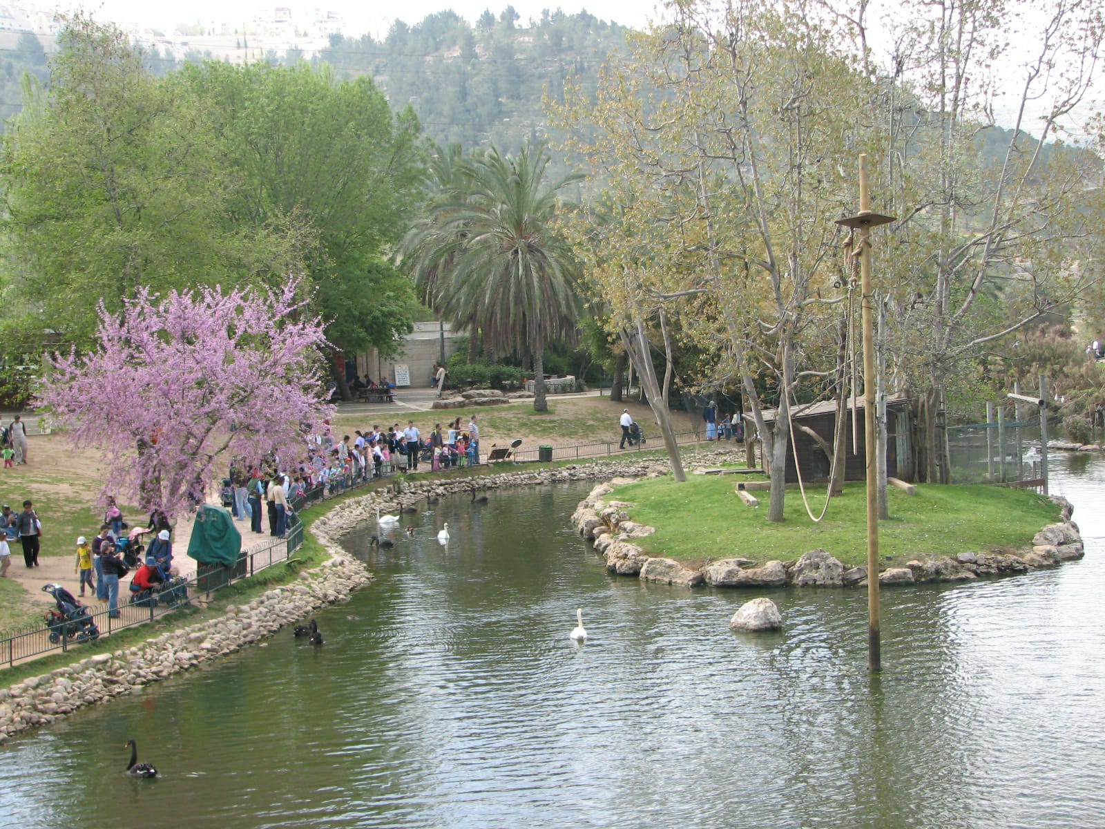 גן החיות התנכי בירושלים