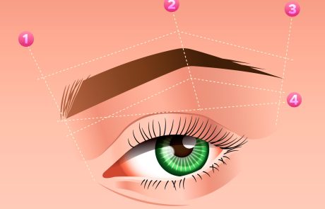 קורס הרמת גבות מקצועי עם EyeTalent – כל מה שצריך לדעת